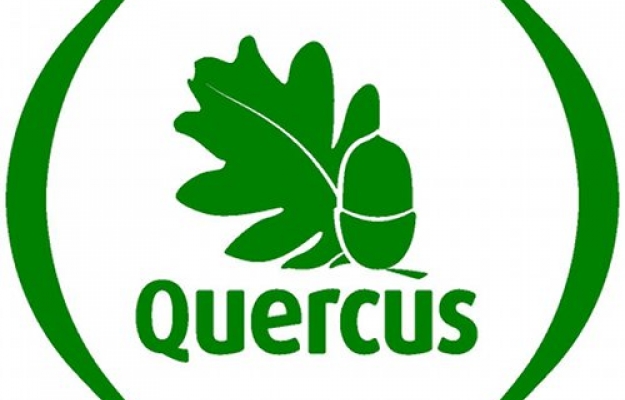 Quercus distingue 425 praias com «Qualidade de Ouro», mais cinco do que em 2024