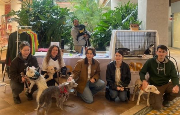 ARA fecha 2025 com resgates, adoções e denúncias de maus-tratos no Algarve