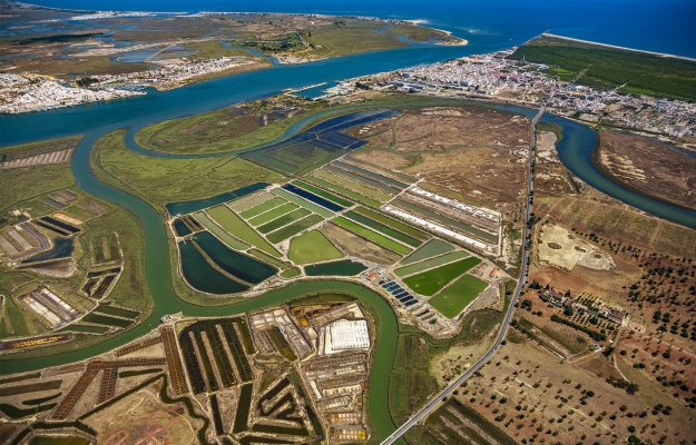 Está aprovado o Plano de Cogestão da Reserva Natural do Sapal de Castro Marim e Vila Real de Santo António 