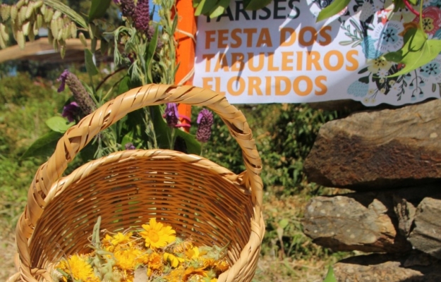 FESTA DOS TABULEIROS FLORIDOS VOLTA A ANIMAR A ALDEIA DE PARISES COM PROPOSTAS PARA TODA A FAMÍLIA