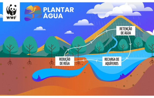  PLANTAR ÁGUA RENASCE PARA MELHORAR O CICLO DA ÁGUA NO ALGARVE