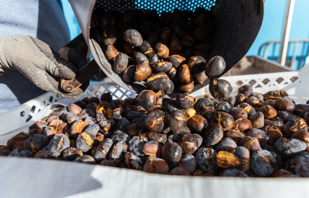 O verão de São Martinho celebra-se em Quarteira