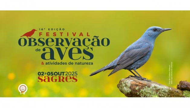 Abrem hoje as inscrições para o maior festival de aves e natureza do país