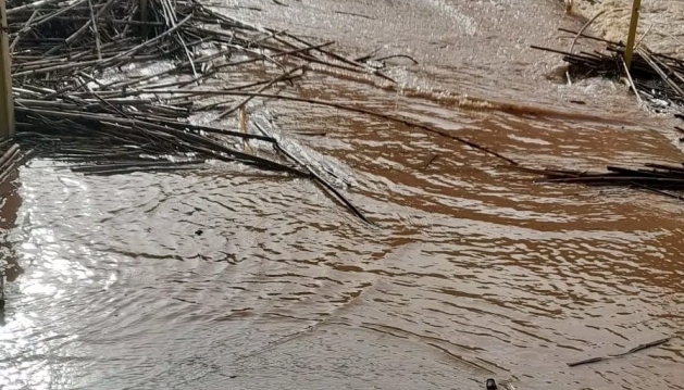 Mulher de 85 anos morre em Silves após veículo ser arrastado para ribeiro