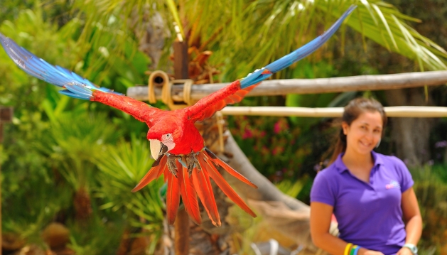 Zoomarine volta a trazer magia e diversão com reabertura do parque