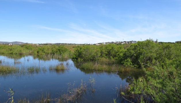 ESPÉCIES AMEAÇADAS NA FOZ DO ALMARGEM: MUNICÍPIO DE LOULÉ APRESENTA QUEIXA CONTRA PREVARICADORES