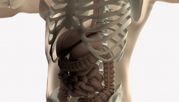 É preciso mais sensibilização e apoio para as pessoas com Síndrome do Intestino Curto