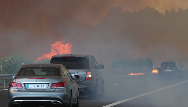 Brisa cria plano com recomendações aos condutores surpreendidos por incêndios