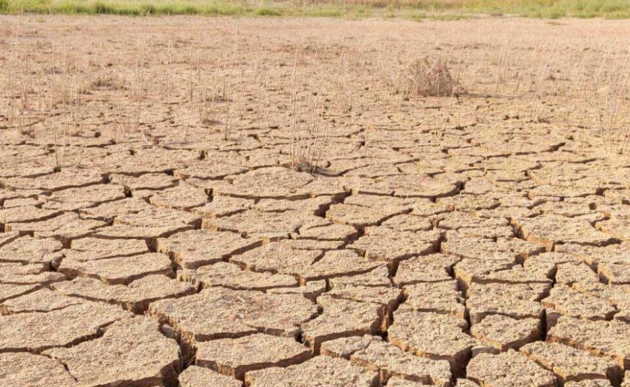 MUNICÍPIO DE LOULÉ PREPARA MEDIDAS PARA COMBATER SECA COM UMA POUPANÇA DE MAIS DE 15.600M3 DE ÁGUA NO VERÃO