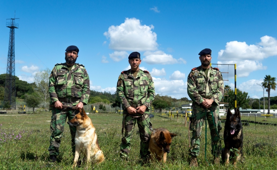 26 de Agosto - Dia do cão: Núcleo de Cinotecnia da Marinha já realizou 130 ações este ano 26 de Agosto - Dia do cão: Núcleo de Cinotecnia da Marinha já realizou 130 ações este ano