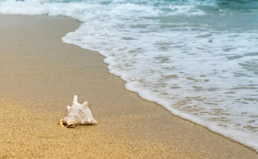 Praia da Batata em Lagos interditada a banhos