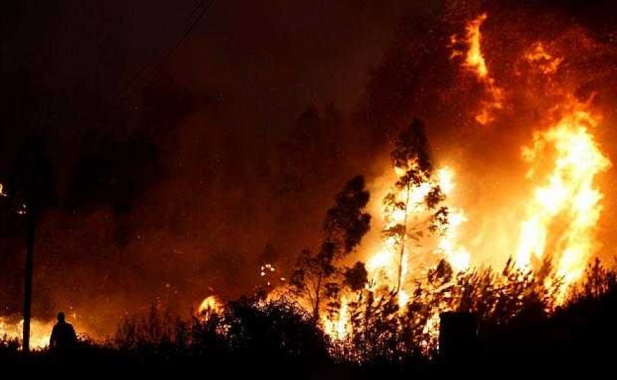 Incêndios: Mais de 70 concelhos da região Centro e do Algarve em risco máximo