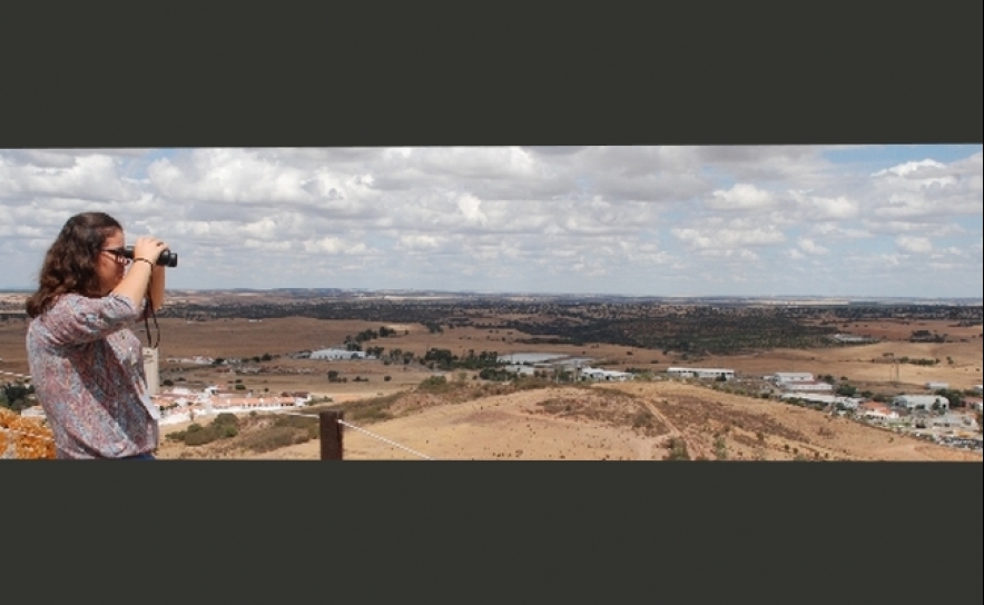 Cidadania | Inscrições para programa Voluntariado Jovem para a Natureza e Florestas já estão abertas
