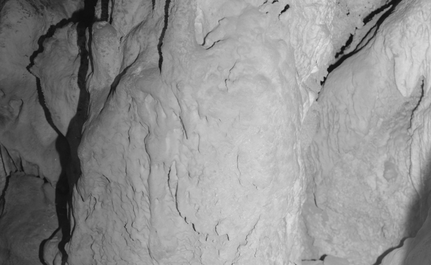 Arte e ecologia: exposição Sustentar chega ao Algarve e fica até março