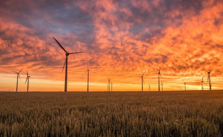 Algarve sob pressão: nova vaga de projetos eólicos e solares ameaça biodiversidade