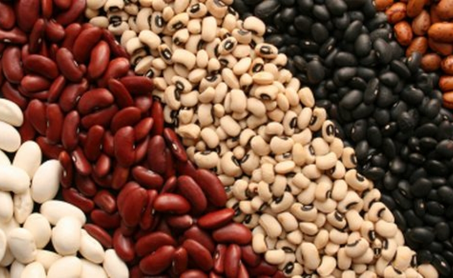 SEMINÁRIO «AS LEGUMINOSAS E A DIETA MEDITERRÂNICA»