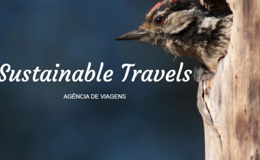 EXISTE UMA NOVA AGÊNCIA DE VIAGENS NO ALGARVE E APOSTA NO TURISMO SUSTENTÁVEL