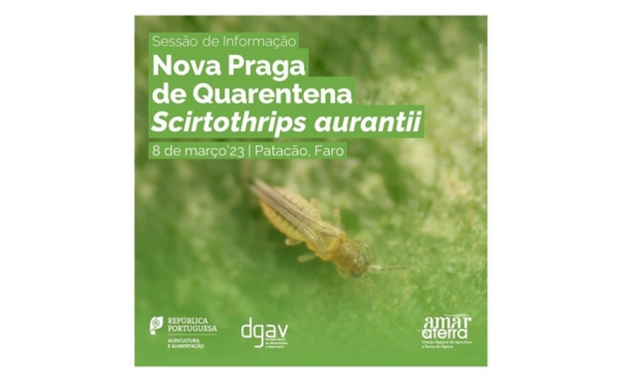 Nova Praga de Quarentena Scirtothrips aurantii