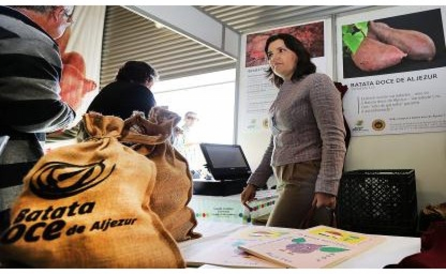 Assunção Cristas aplaude aumento de jovens agricultores no Algarve