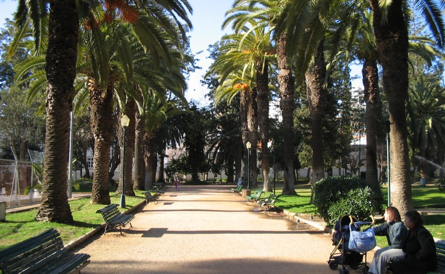 Mais Segurança para todos na Alameda João de Deus