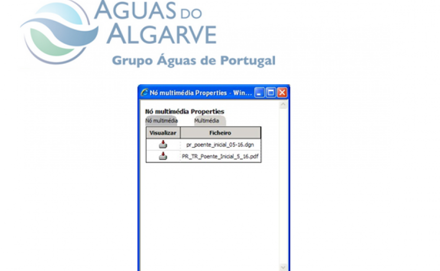 Figura 4 – Menu disponível para efetuar o download, lingueta multimédia