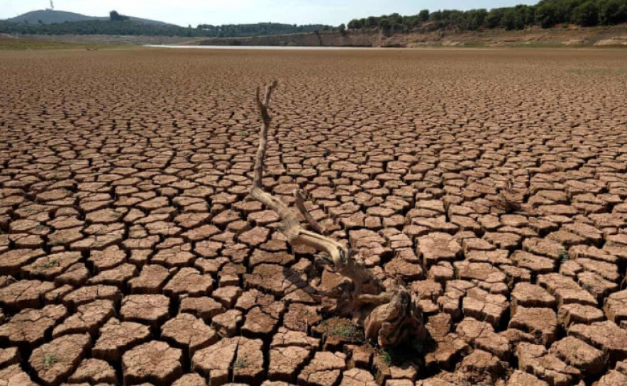 Seca: Portugal vive uma das piores situações do último século