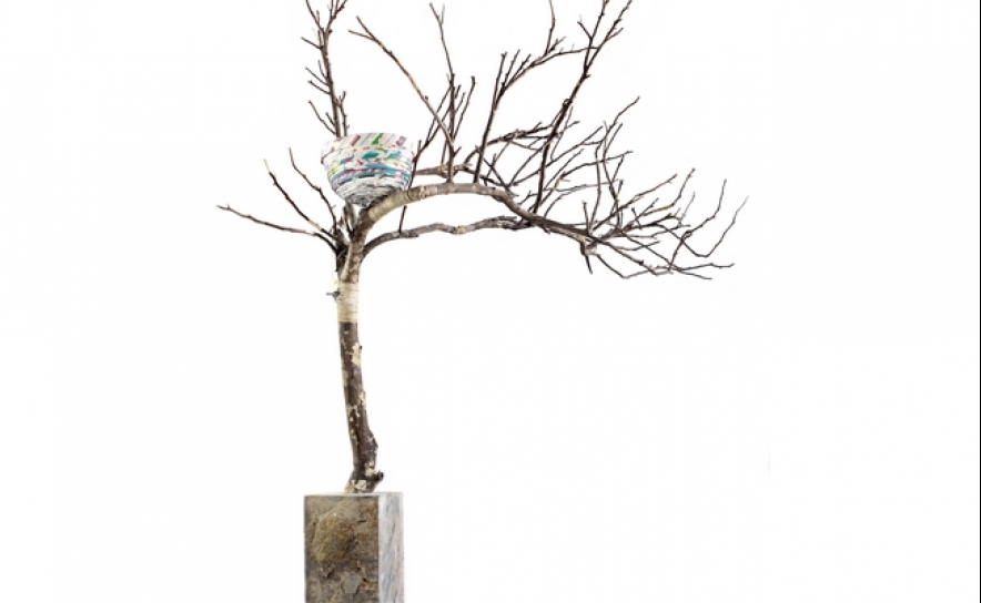 Pidutournee - ninho - II - ecodesign