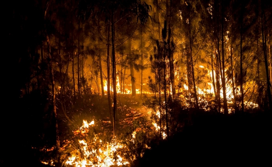 Incêndios: Seis concelhos de Faro, Santarém e Castelo Branco em perigo máximo