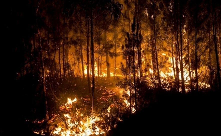 Incêndios: Catorze concelhos de quatro distritos em perigo máximo