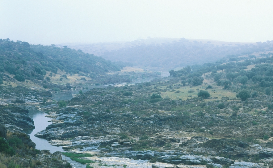 PELOS CAMPOS DE SALÚQUIA | «Paisagens ocultas» é a próxima atividade 