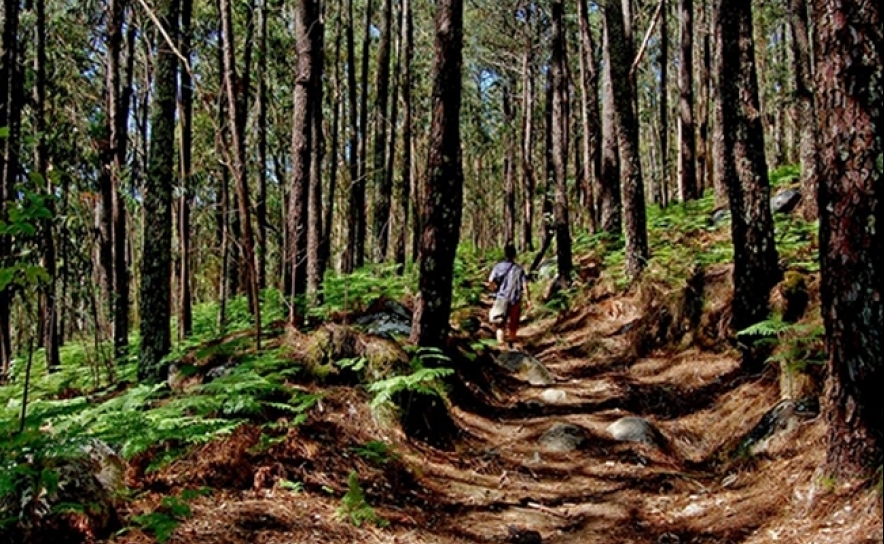 Ultra Maratona desafia atletas a correrem 300 quilómetros pelas serras algarvias