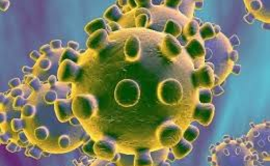 Covid-19: Algarve hoje com 4 novos casos de COVID-19