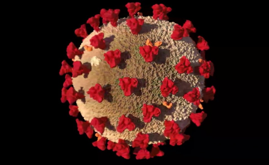 Covid-19: Algarve hoje com 1738 novos casos e 4 vítimas mortais