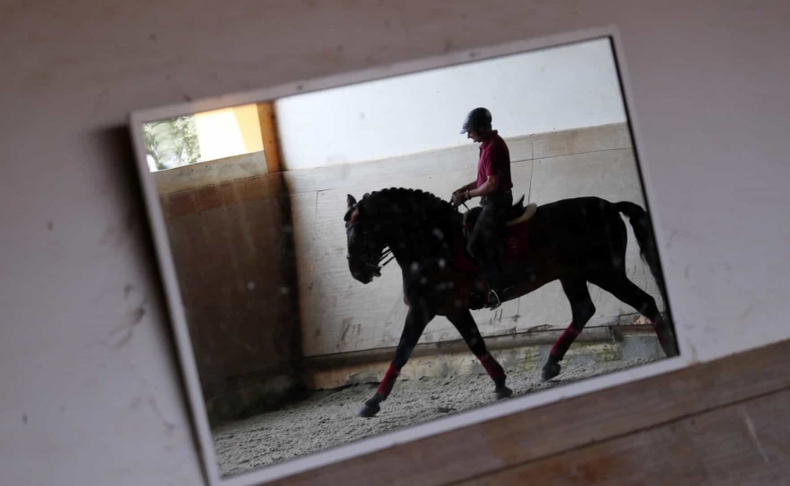 Federação Equestre Portuguesa lança programa para impulsionar a modalidade