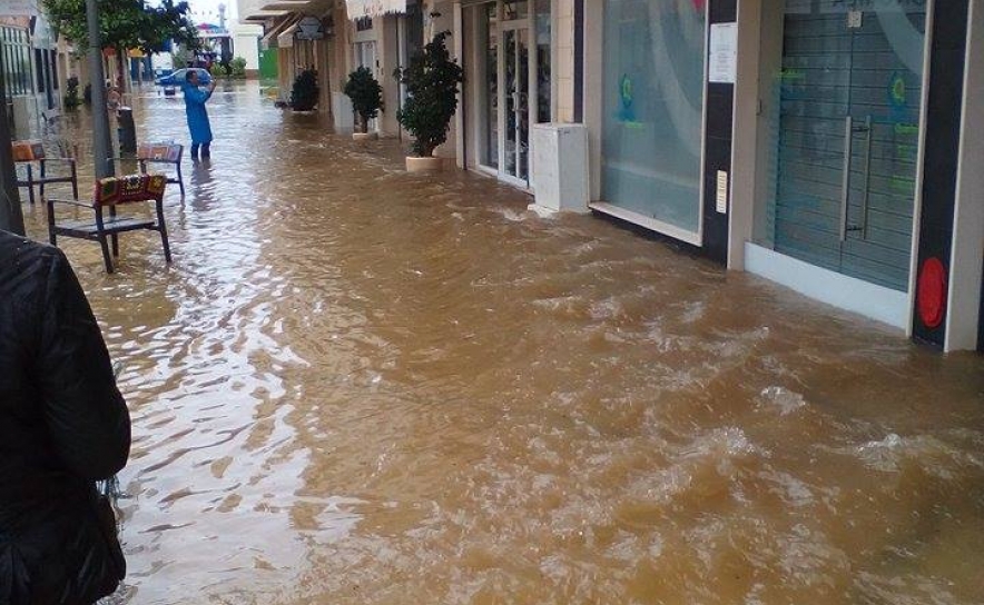 Fotos: Miguel Encarnação Fotos: Miguel Encarnação