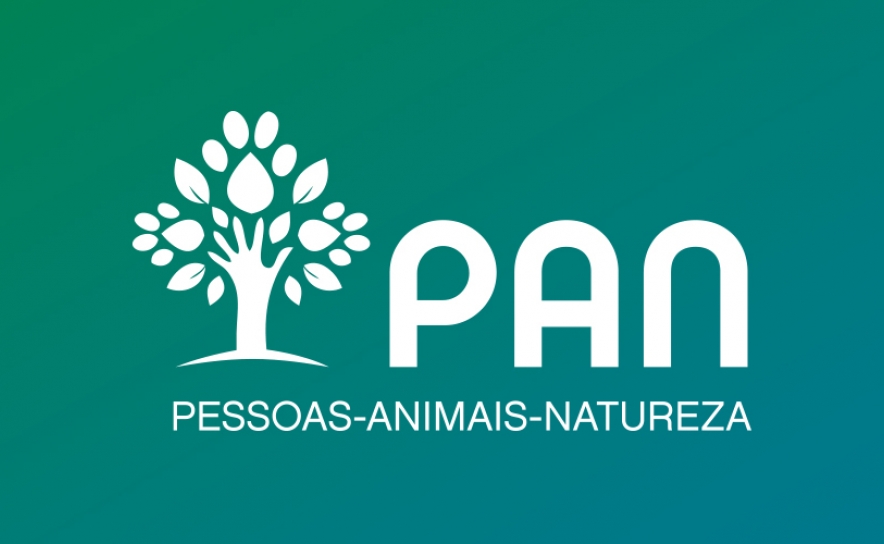 PAN quer revogação do «simplex» ambiental e consulta pública mais alargada