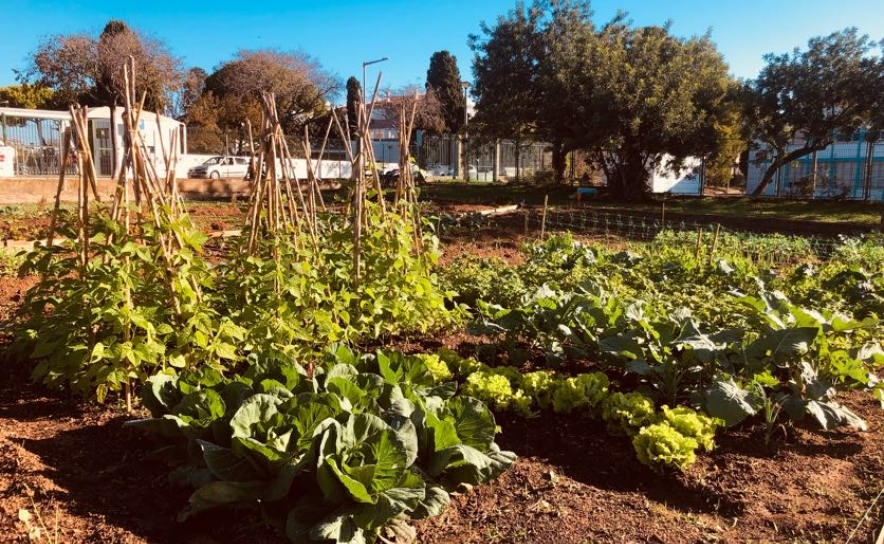 Visita às Hortas Urbanas Comunitárias de Tavira