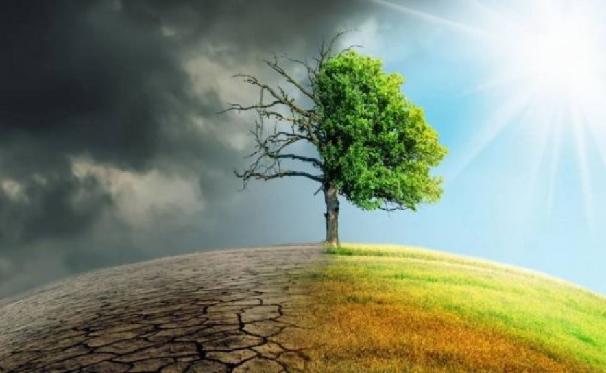 Alterações climáticas: 227 autarquias não estão preparadas