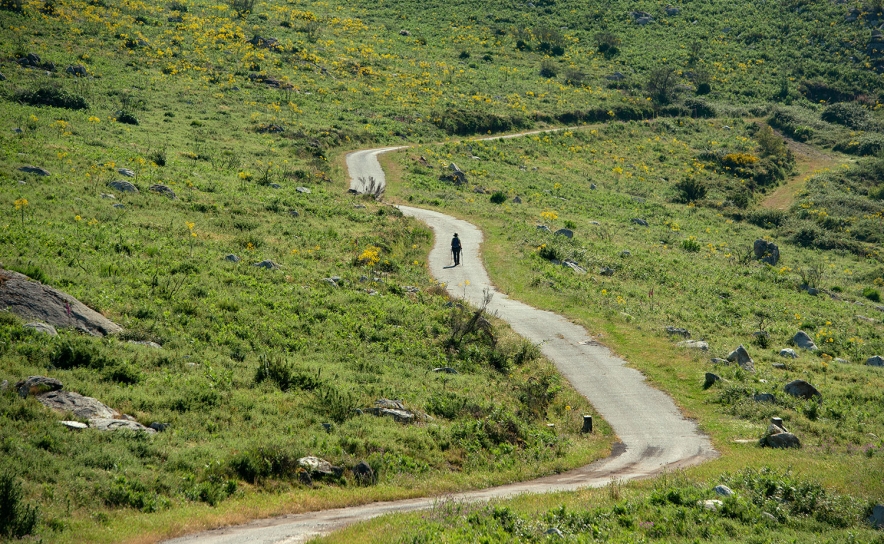 Depois da capacitação, Almargem propõe reflexão sobre oportunidades no turismo em Monchique