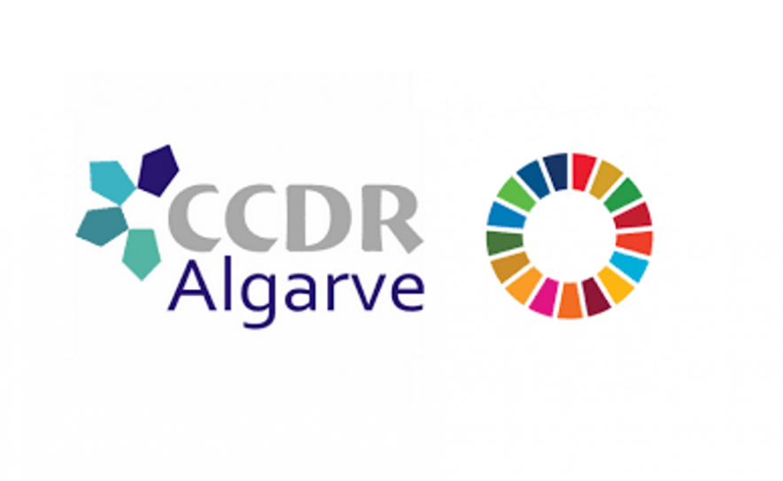 CCDR Algarve associa-se ao Dia Internacional da Mulher apoiando o progresso das mulheres no setor digital