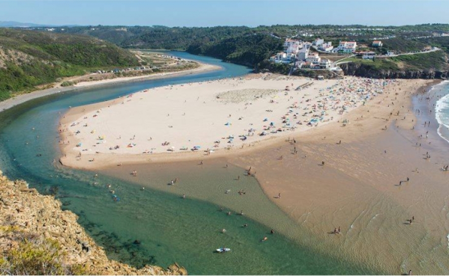 Engenharia natural será «arma» para reposição do equilíbrio da biodiversidade da Ribeira de Aljezur