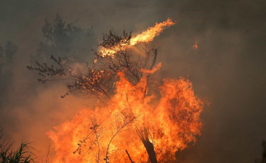 Incêndios: Fogo em Faro volta à fase de resolução após reativação ser controlada