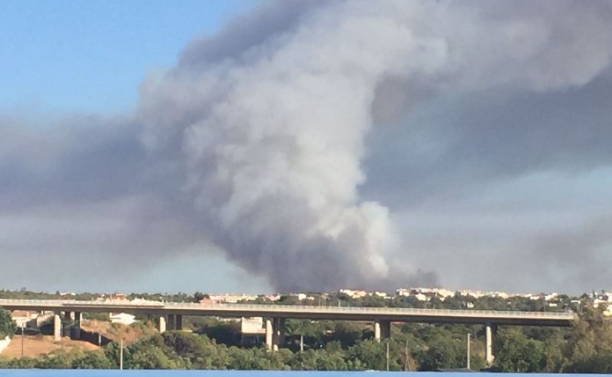 Incêndios:150 bombeiros e 4 meios aéreos combateram fogo em zona de pinhal em Faro