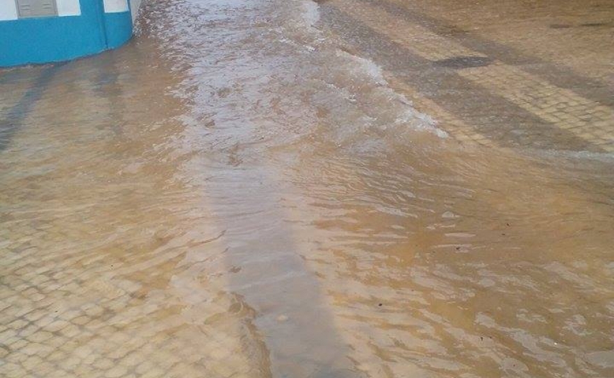 Fotos: Miguel Encarnação Fotos: Miguel Encarnação