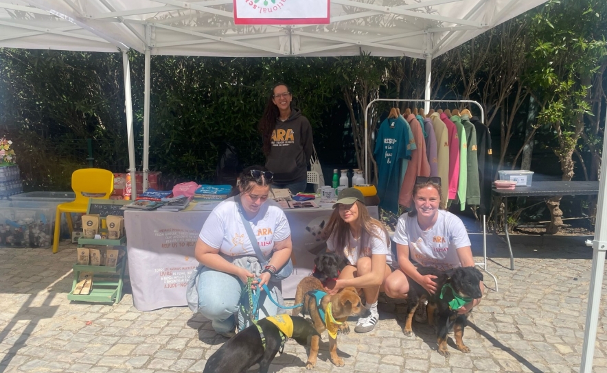 Feira da Escola internacional Aspire