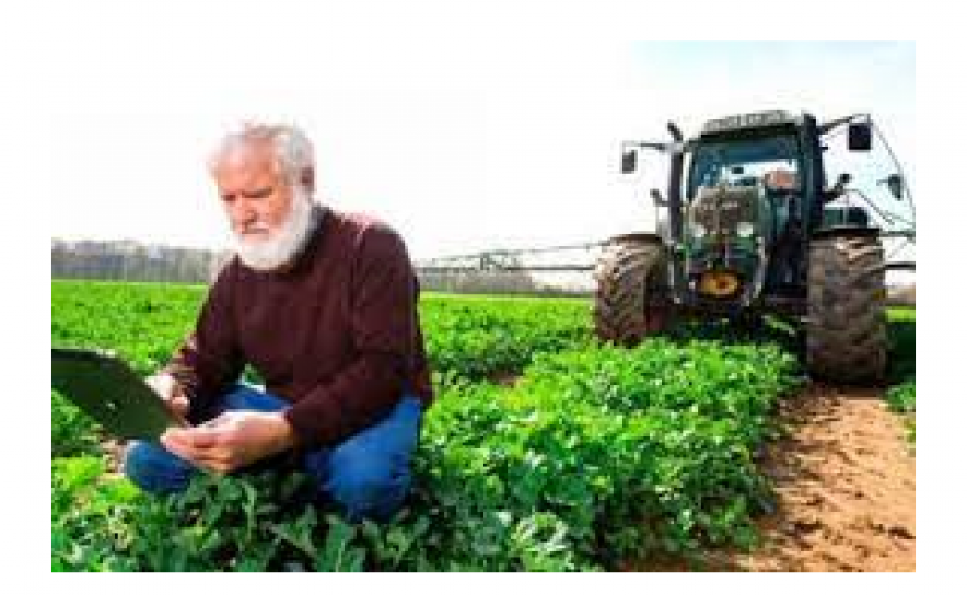 DESMANTELAMENTO DO MINISTÉRIO DA AGRICULTURA CONTARÁ COM OPOSIÇÃO FRONTAL DA CAP