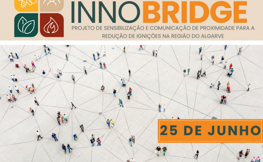CONFERÊNCIA FINAL INNOBRIDGE 