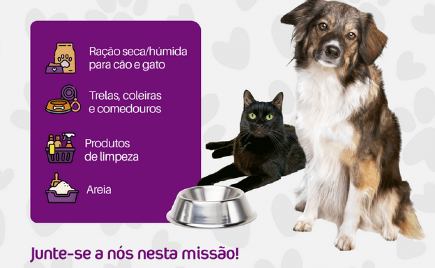 Arranca já amanhã a 34ª Iniciativa do Banco Solidário Animal