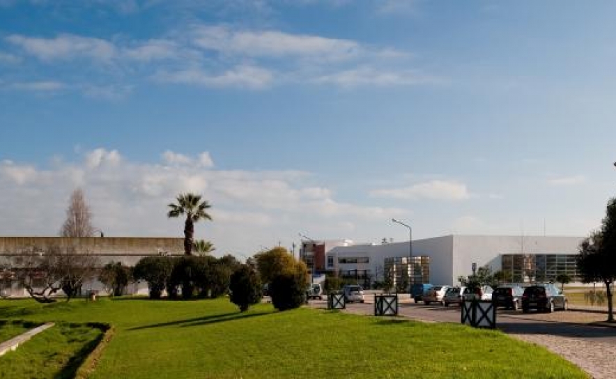 Universidade do Algarve recebe encontro Portugal STEEL