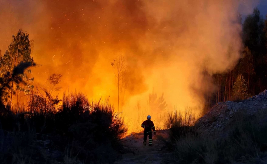 Incêndios: Mais de 100 concelhos de 12 distritos em perigo máximo